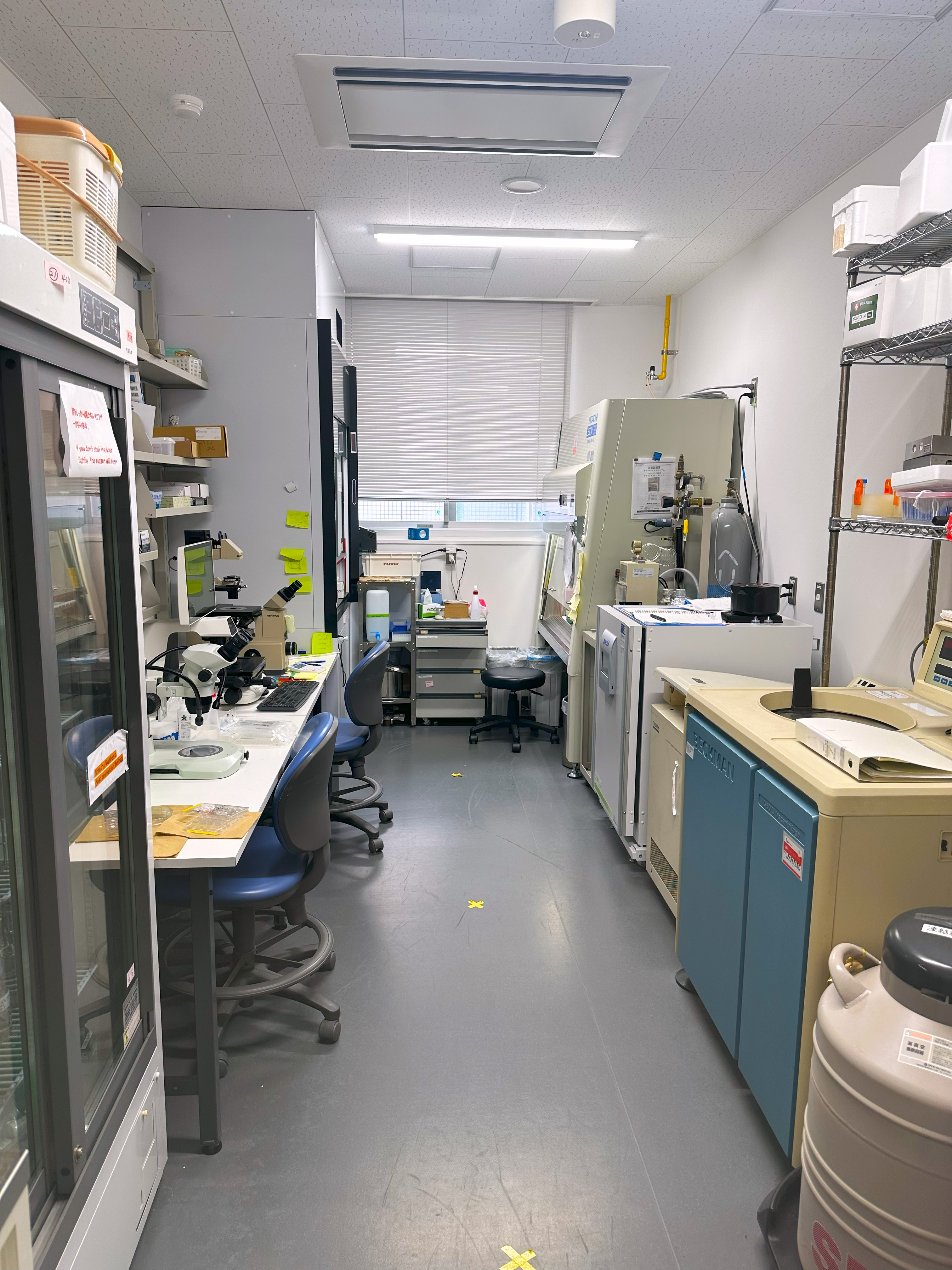 Cell culture and virus lab