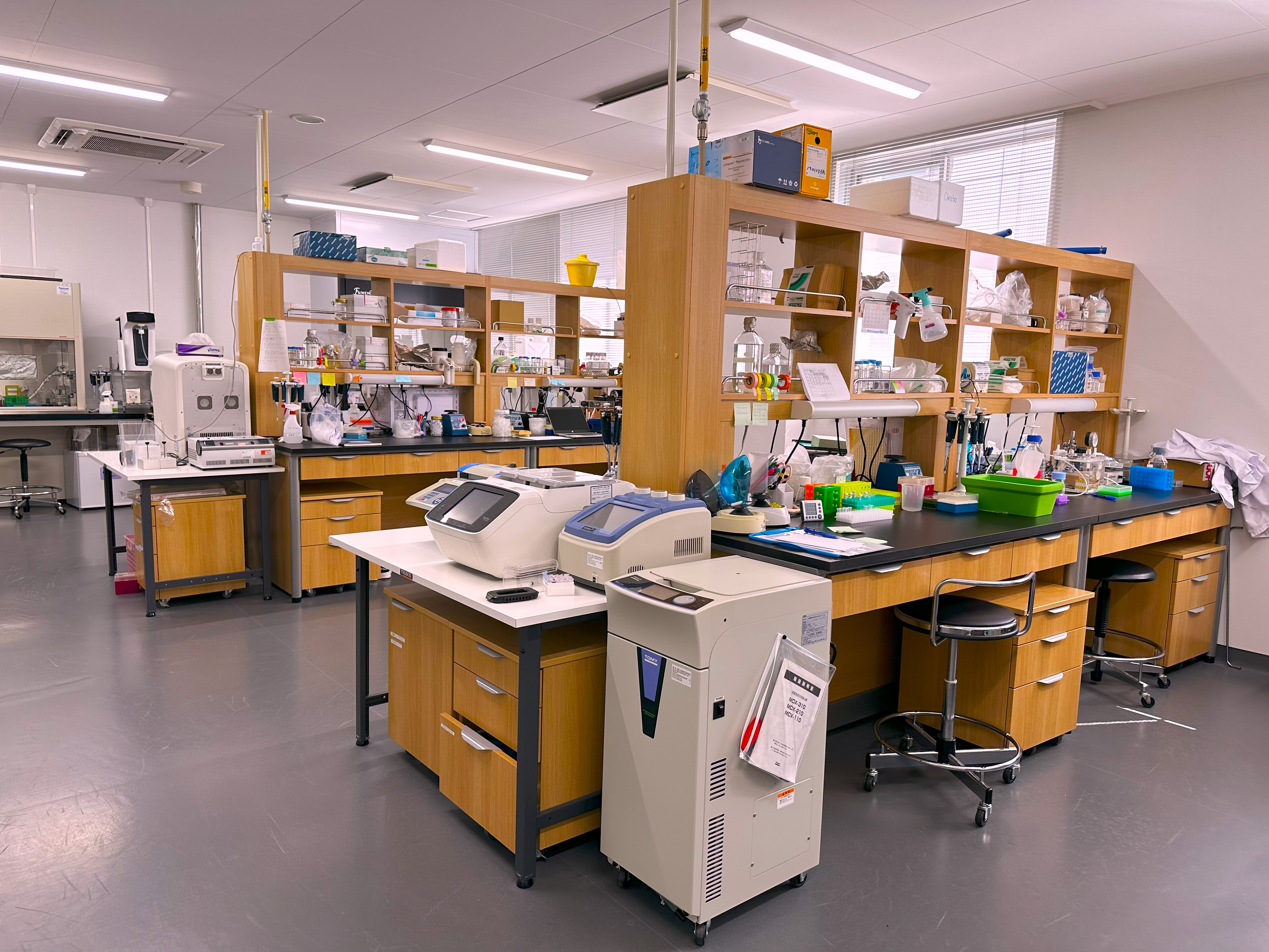 Molecular lab