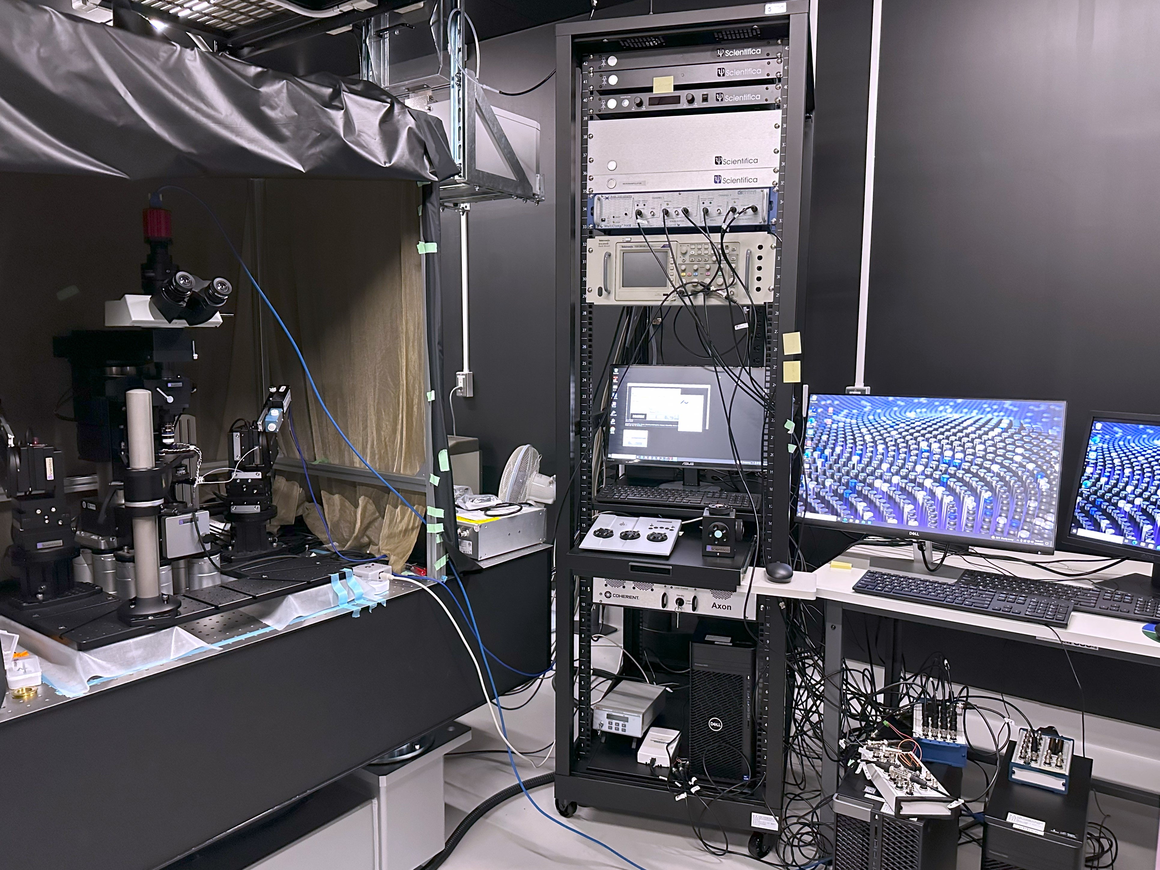 Two-photon microscope for in vitro retinal imaging