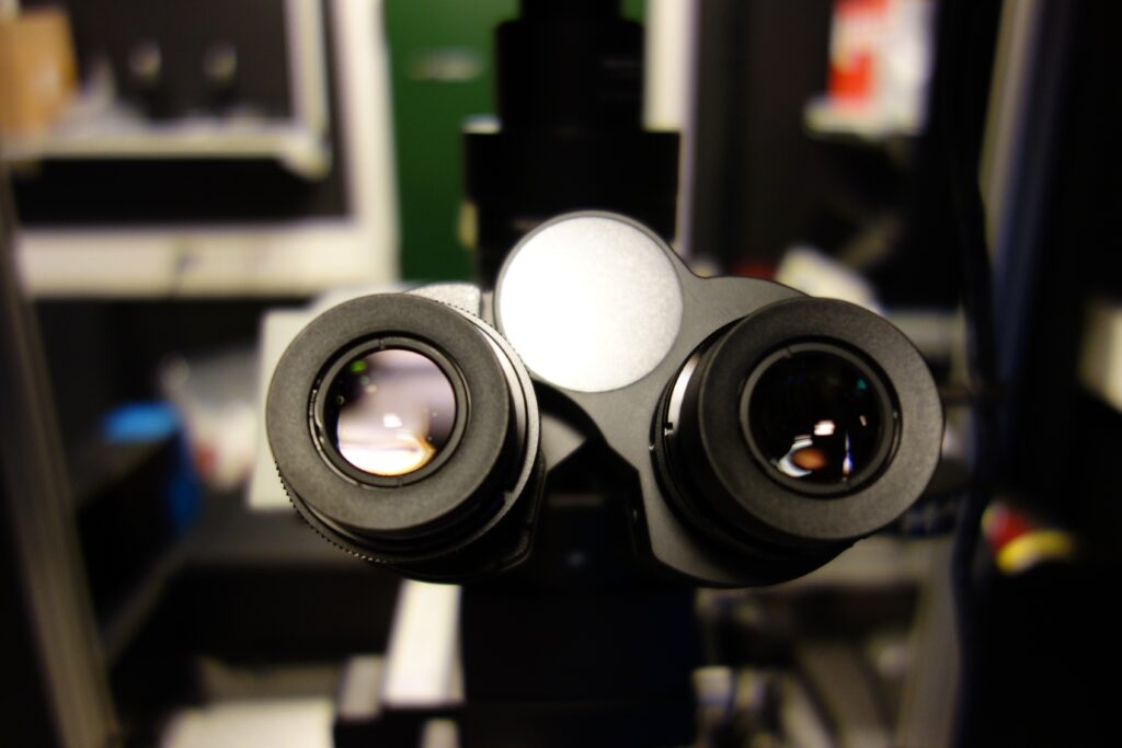 Eyepieces